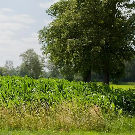 Pothuus 2 Persoons Vrijstaand Huis Met Vrij Uitzicht In De Achterhoek Ruurlo Exterior photo