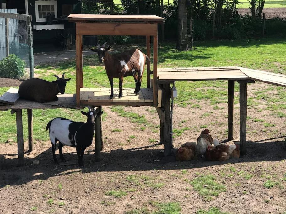 Pothuus 2 Persoons Vrijstaand Met Vrij Uitzicht In De Achterhoek Chalet *